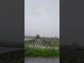 Powódź 2019 Kazimierza Wielka