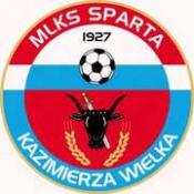 IX Halowy Turniej Piłki Nożnej o Puchar Prezesa MLKS Sparta